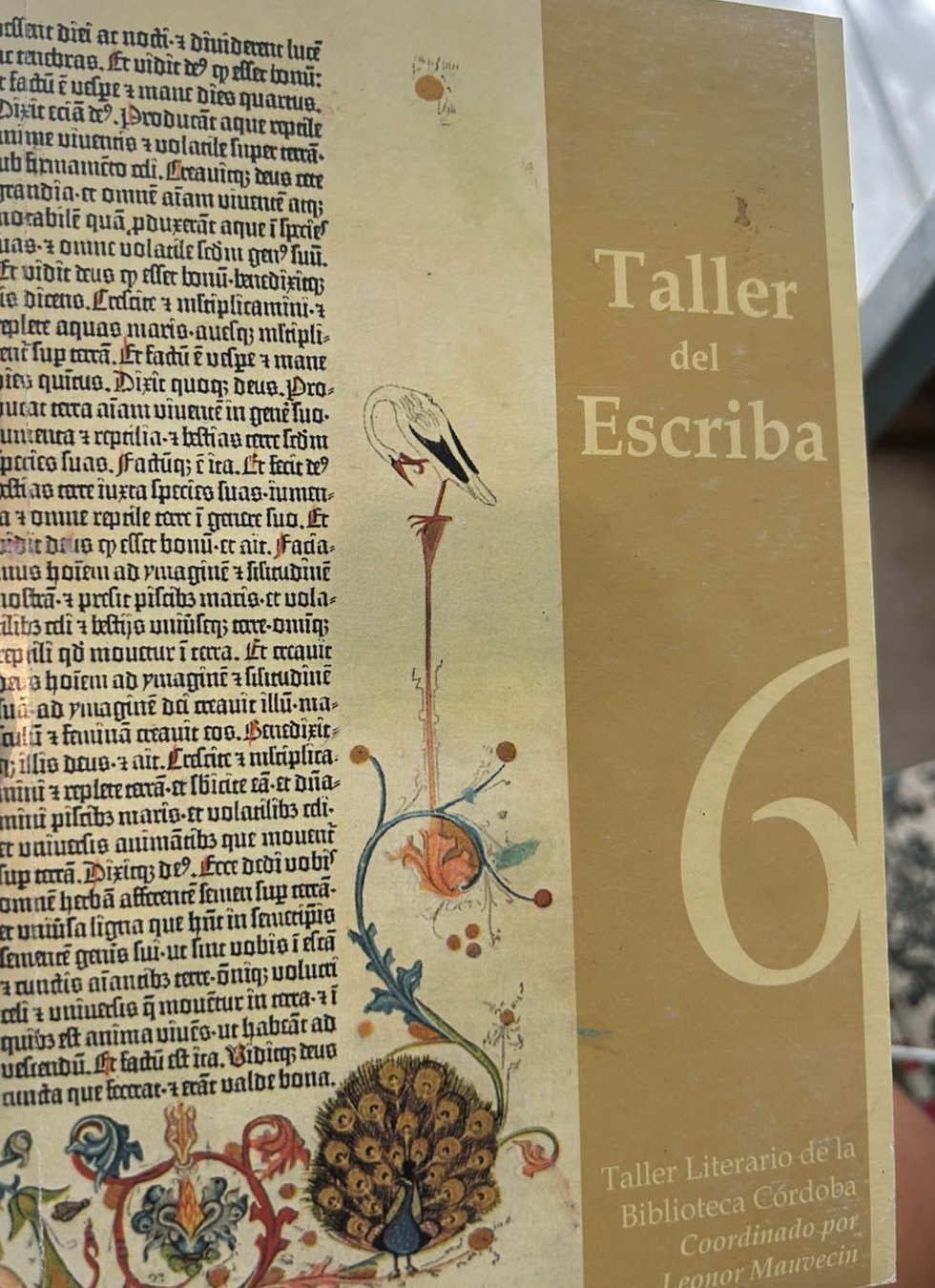 Taller del Escriba 6